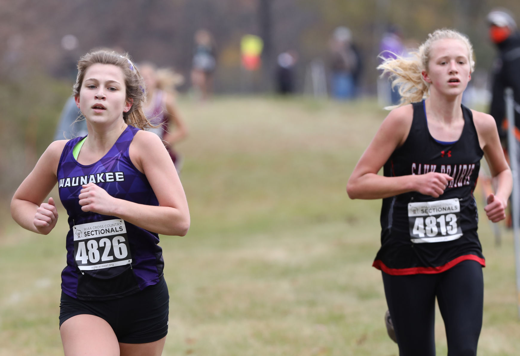 WIAA girls and boys cross country sectional
